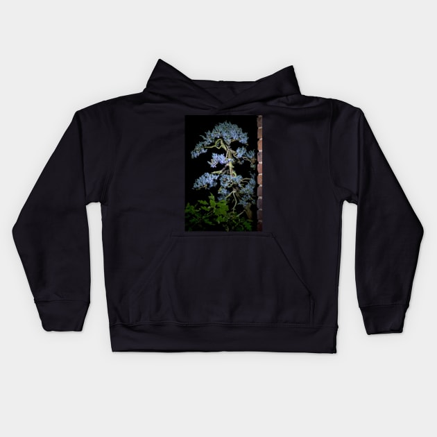 Bonsai Juniperus Meyeri At Night Kids Hoodie by heidiannemorris